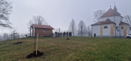 Mirna - posadili so lipe, foto Lapego (2)